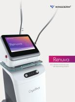 Wingderm® Skin rejuvenation laser-Renuva-1