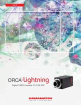 ORCA Lightning - 1