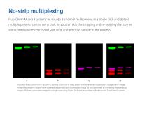 Any lab. Any imaging need. FluorChem systems have you covered-10