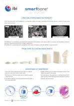 SmartBone technology-3