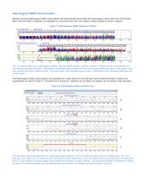 Mutation Surveyor®-5