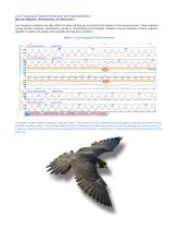 Mutation Surveyor®-6