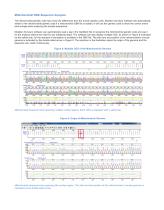 Mutation Surveyor®-7
