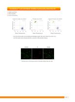 Cell biology Related Antibody - 10