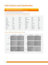 Cell biology Related Antibody - 5