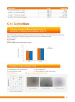 Cell biology Related Antibody - 8