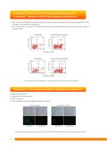 Cell biology Related Antibody - 9