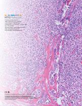 Comprehensive Tumor Profiling-8