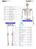 Astrolabe Medical General Catalogue-4