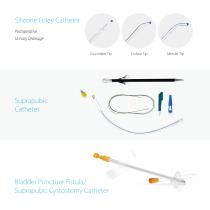 Well Lead Endourology A03 - 10