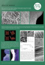 TRIPLO-3