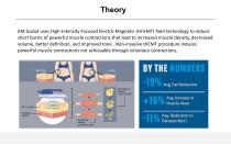 Electromagnetic Muscle Stimulation Systems for Body Contouring EM-7-3