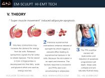 Non Invasive Body Sculpting and Muscle Building Equipment EM-8-6