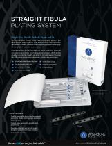 STRAIGHT FIBULA PLATING SYSTEM - 1