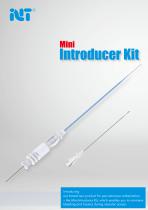MI INT mini introducer kit