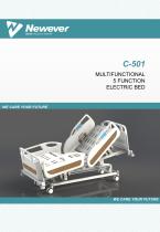 C-501 Five Function Electric Bed-1