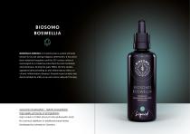 Biosomo - Liposomal Supplements - 6