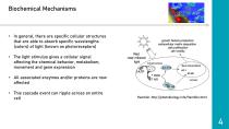 Presentation Intravenous Low-Level-Laser-Therapy - 4