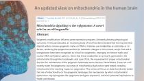 Science behind the WeberBrain®-10