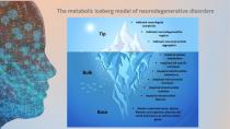 Science behind the WeberBrain®-13