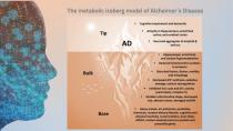 Science behind the WeberBrain®-14