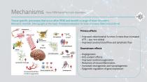 Science behind the WeberBrain®-5