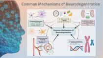 Science behind the WeberBrain®-8