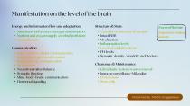 Update: Science behind the Weber Brain-13