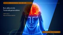 Update: Science behind the Weber Brain-14