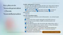 Update: Science behind the Weber Brain-16