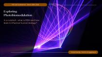 Update: Science behind the Weber Brain-4