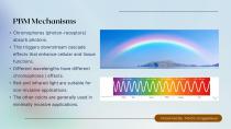 Update: Science behind the Weber Brain-5