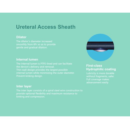 ureteral access sheath H04