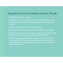 ureteral access sheath H04-3