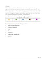 Anchor Spinal System-2
