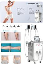 China cryolipolysis machine manufacturer-BVLASER. Cryolipolysis fat freeze slimming machine FDA approved.-1
