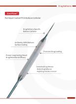 EverFlow® Paclitaxel Coated PTCA Balloon Catheter-3