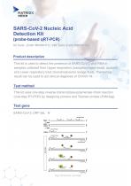 Sars-Cov-2 Nucleic Acid Detection Kit(qrt-PCR) - 1