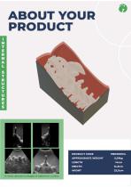 GPHANTOM LUMBAR-4
