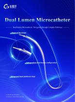 Dual Lumen Microcatheter