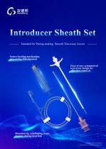 Introducer Sheath Set-1