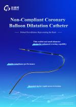 Non-Compliant Coronary Balloon Dilatation Catheter-1