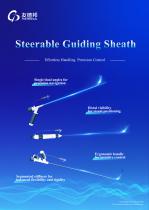 Steerable Guiding Sheath-1