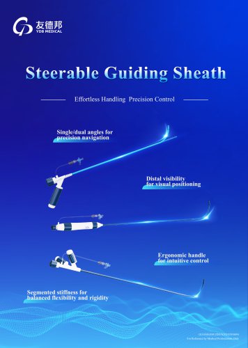 Steerable Guiding Sheath