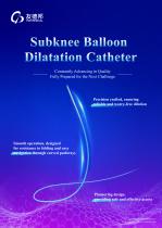 Subknee Balloon Dilatation Catheter-1