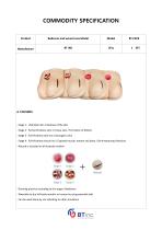 Bedsore and Wound care Model-1