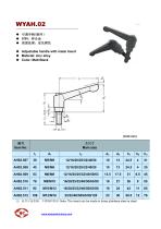 Adjustable Handle-2