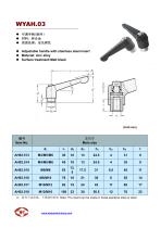 Adjustable Handle-3