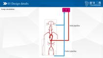 Neuro vascular A-10