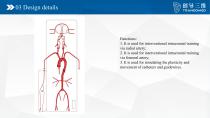 Neuro vascular A-4